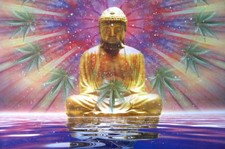 CANNABIS MARIJUANA GRASS MARY