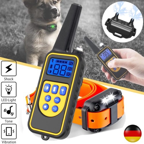 1000m hund ausbildung - 1000m,