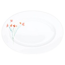 Fleischplatte mittelgroß Dibbern Impression Rot