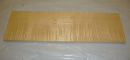 Riegelahornholz x 2 - riegelahornholz;,