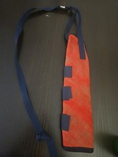 Reitpferd Rettungsschwimmer