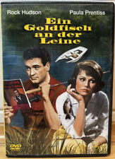 Ein Goldfisch an der Leine