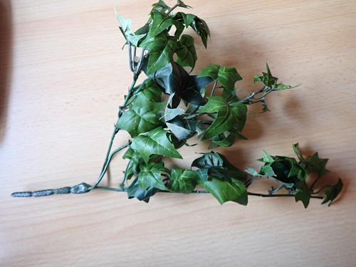 Efco efeu floristik - -,