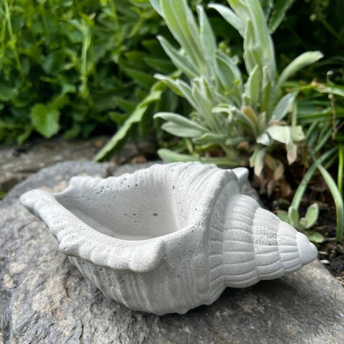 Betonfigur muschel - muschel,