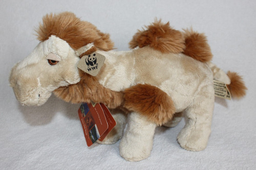 Seltenes wwf camel anna club - seltenes,