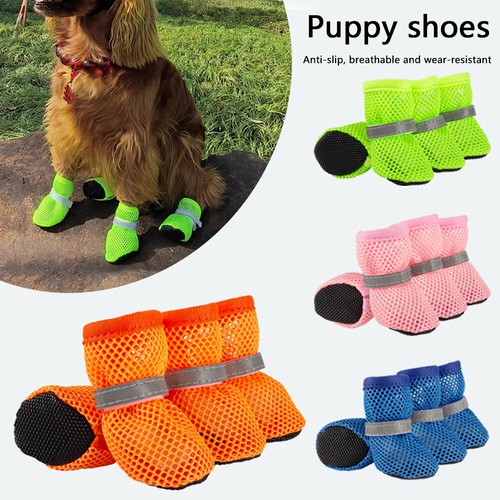 Hunde schuhe pfotenschuhe - hunde,