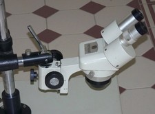 Euromex Stereomikroskop
