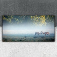 Zwei Hirsche im Kampf Gegen