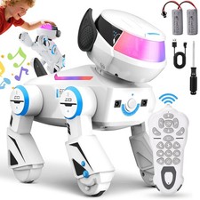 RC Roboter Hund Kinder