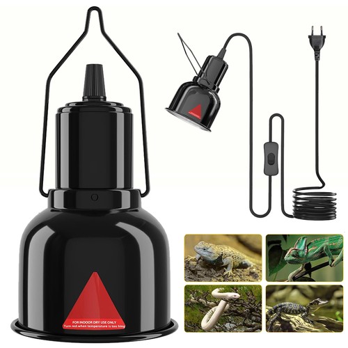 Reptilien terrarium - reptilien,