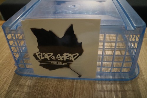 Flip scrip i never - cd,