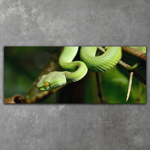 Leinwand wandbilder xxl - leinwand,