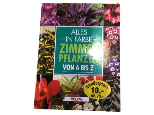 Alles farbe zimmerpflanzen - alles, in