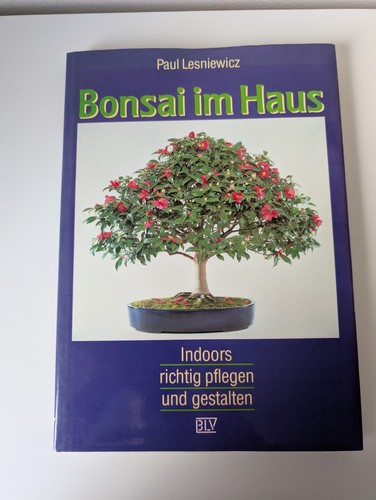 Bonsai haus indoors - bonsai, im