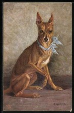 Zwerg-Windhund mit blauer Schleife, Ansichtskarte 1917 