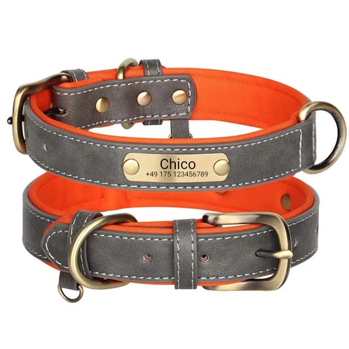 Schickes hundehalsband mit - schickes,