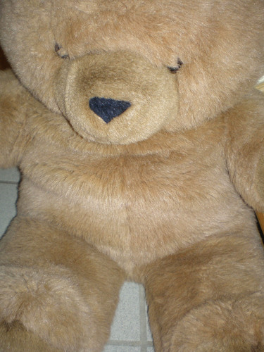 Großes stofftier teddy - stofftier,