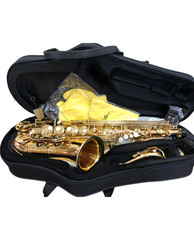 Alt saxophon set - alt,