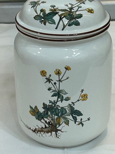 Villeroy boch botanica 1 - +botanica+,