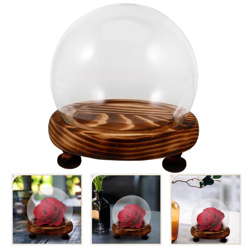 Vitrine glas tortenglocke - glas,