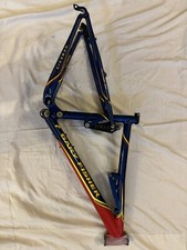 Cuadro Gary Fisher  Génesis