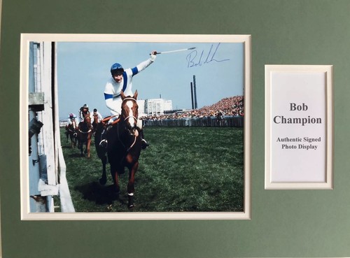 Pferderennen bob champion - bob,