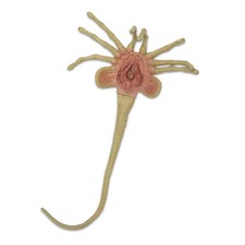 Neca alien facehugger - alien,