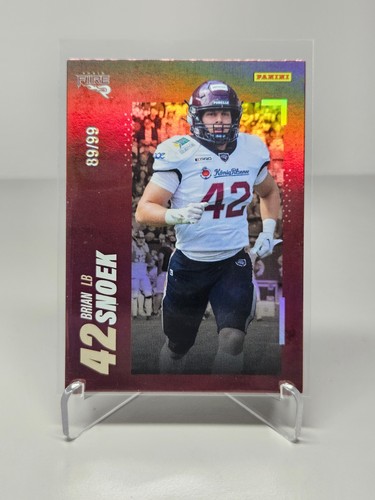 2023 panini rhein fire - panini,