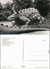 Ansichtskarte kleinwelka mały - ansichtskarte,