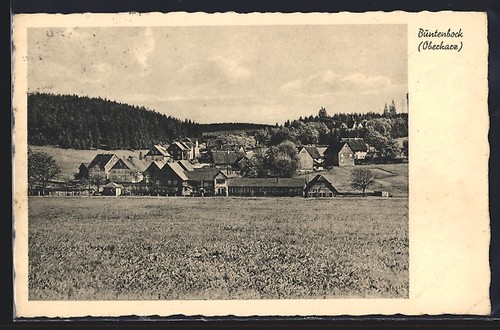Ansichtskarte buntenbock - ansichtskarte,