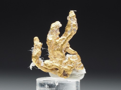 Gold gediegen kristallin - gold,,