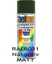 RAL 6031 Nato Oliv matt Belton