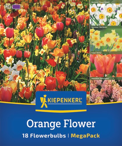 Kiepenkerl orange flower - flower, mix