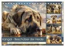 Kangal - Beschützer der