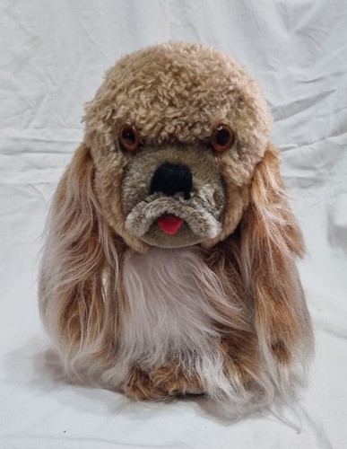Shih tzu hund altes - hund,