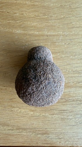 T42 moqui marbles - xl, -lebende