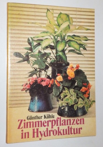 Zimmerpflanzen hydrokultur - zimmerpflanzen, in