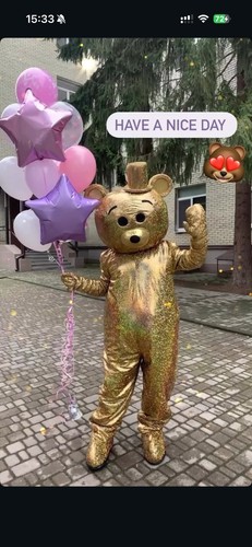 Bären maskottchen kostüm - bären,