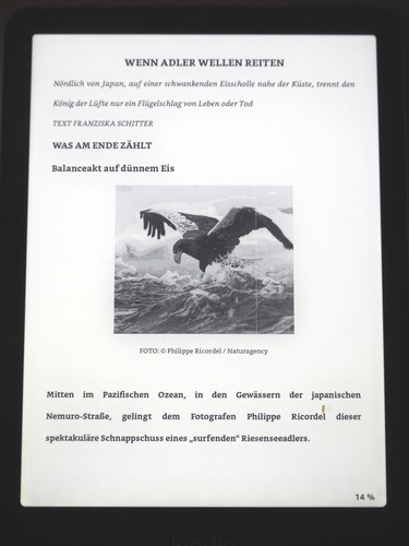 Kindle paperwhite reader - kindle,