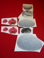 Wandsticker Wandtattoo Steine Orchideenblüten Restposten Dekoration Wanddeko