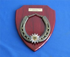 Staatsgeschenk Reiterstaffel