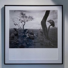 Hiroshi Sugimoto Hyena Jackal