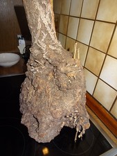 Deko Terrasse Wohnung Echtholz Naturholz Wurzelholz 4300g 38 cm Unikat