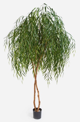 Artplants künstlicher trauer - artplants,