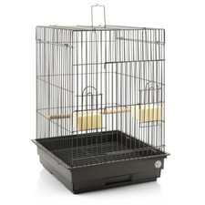 TransportKäfig Transportbox für Großsittiche & Papageien Montana Cages Eos Antik