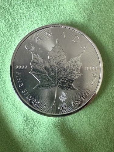 Kanada maple leaf - maple,