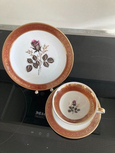 Sammeltasse winterling - sammeltasse,