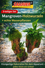 Mangrovenwald Aquarium