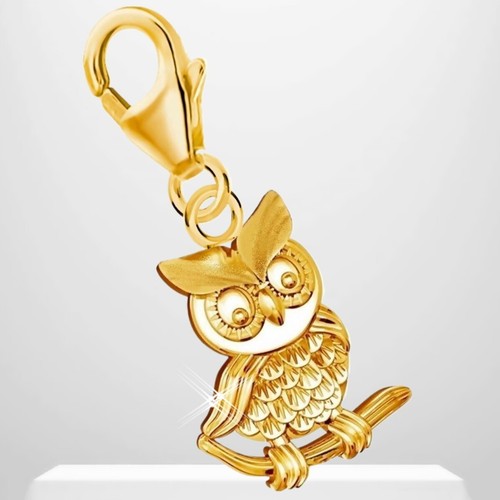 Eule karabiner charm 925 - charm,