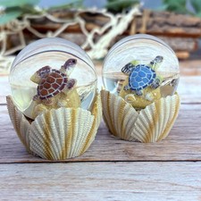 Schneekugel Ø 4,5cm Schildkröte auf Muschelsockel 6,5cm hoch maritime Deko Figur